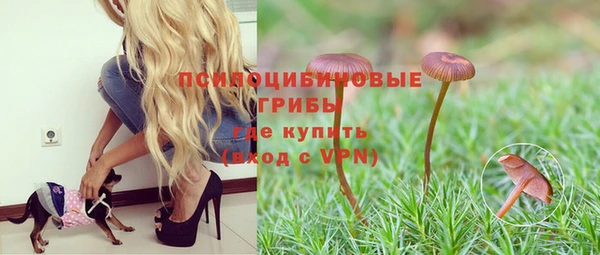 амф Белокуриха