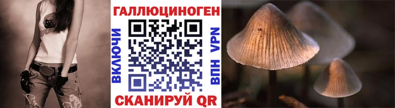 Галлюциногенные грибы Magic Shrooms  Котлас 
